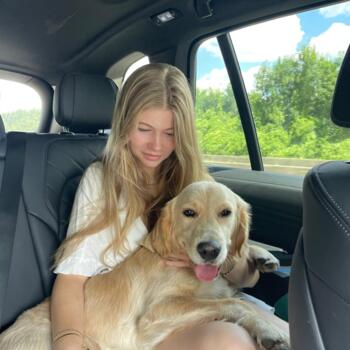 Babysitter in Brügge: Louisa