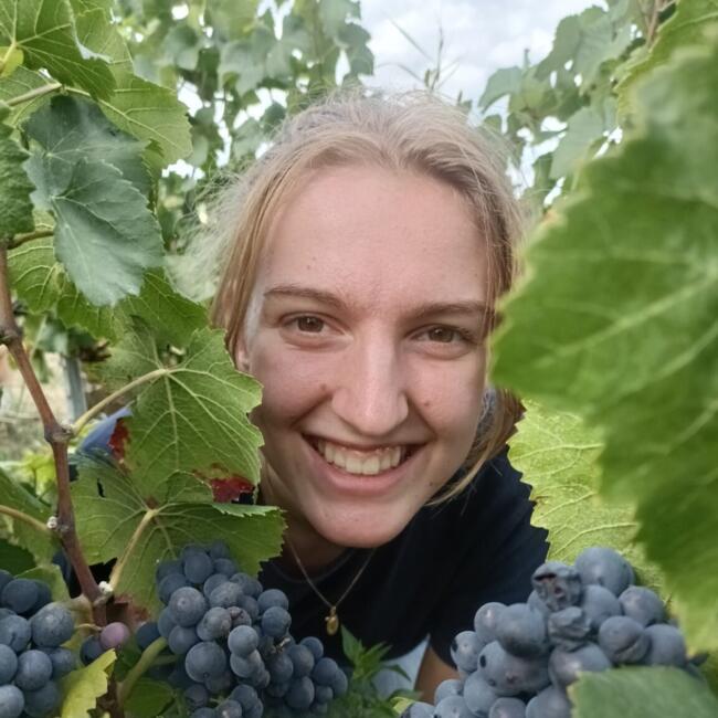 Babysitter in Nocé: Emilie