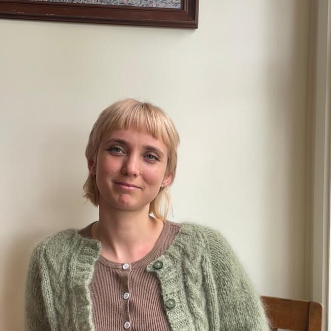 Babysitter in Dunedin: Tigh