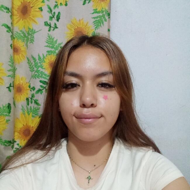 Babysitter in San Luis Potosí City: Yessenia
