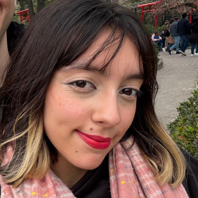 Babysitter in Rosario: Naila