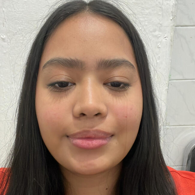 Babysitting job in Culiacán: Evelyn lizeth
