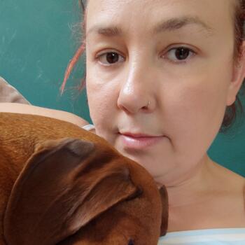 Babysitter in Newton Abbot: Samantha