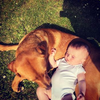 Babysitting job Tadley: babysitting job Araminta