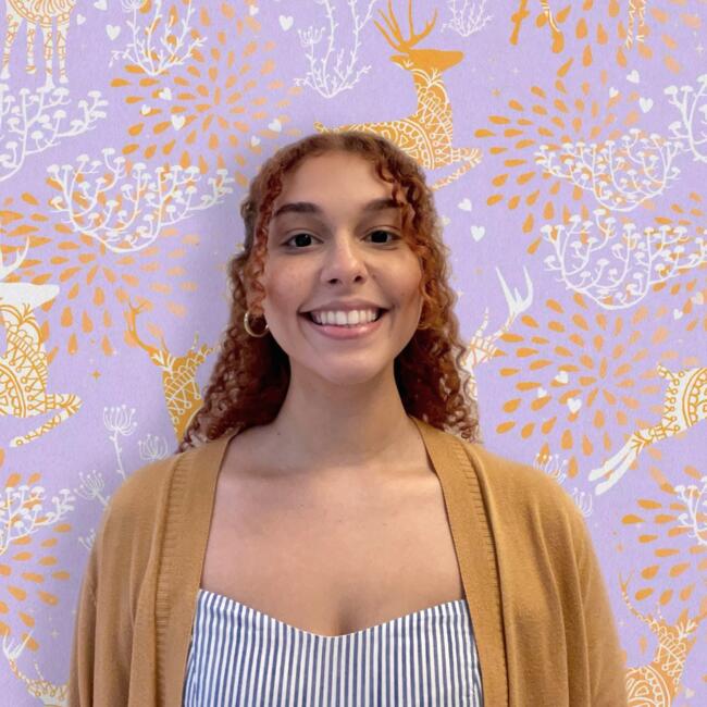 Babysitter in Bayamón: Lisandra