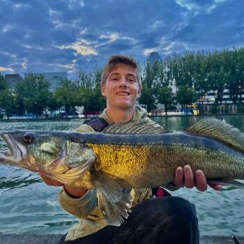 Babysitter in Gennevilliers: Briac