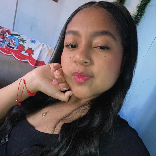Babysitter in Antofagasta: Vanesa