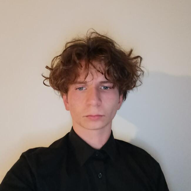 Babysitter in Marigné: Tom