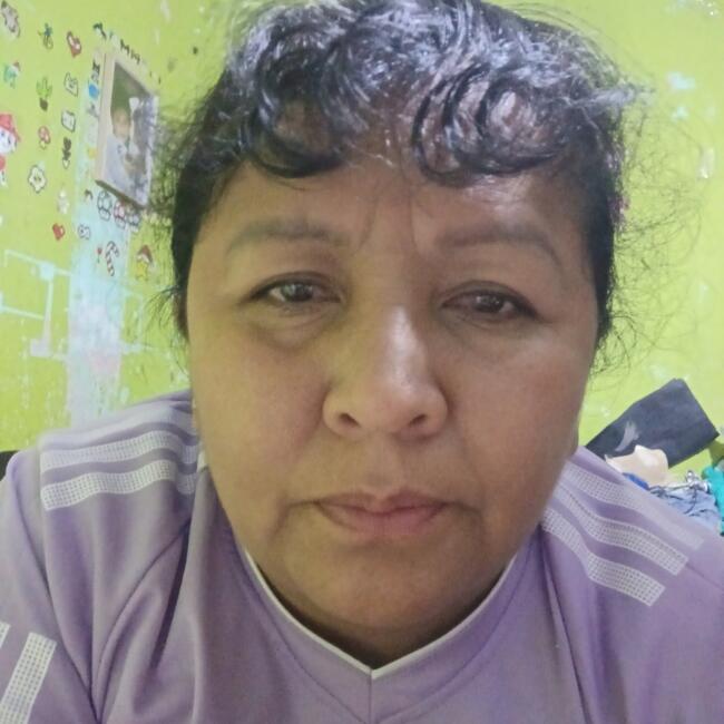 Babysitter in Hualmay: Sofia