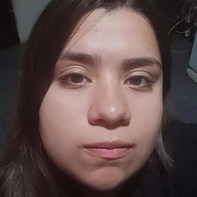 Babysitter in Mar del Plata: Daiana