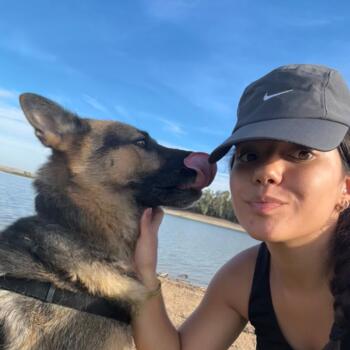 Babysitter in Los Palacios y Villafranca: Maria Carolina