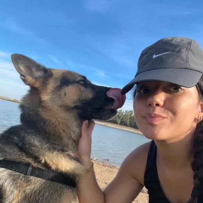 Babysitter in Los Palacios y Villafranca: Maria Carolina