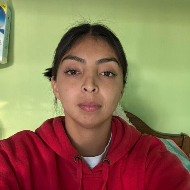 Babysitter in Quillota: Francisca