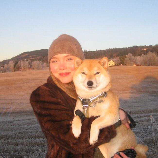 Babysitter in Berlin: Gro