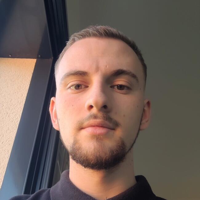 Babysitter in Saint-Denis-lès-Bourg: Julien