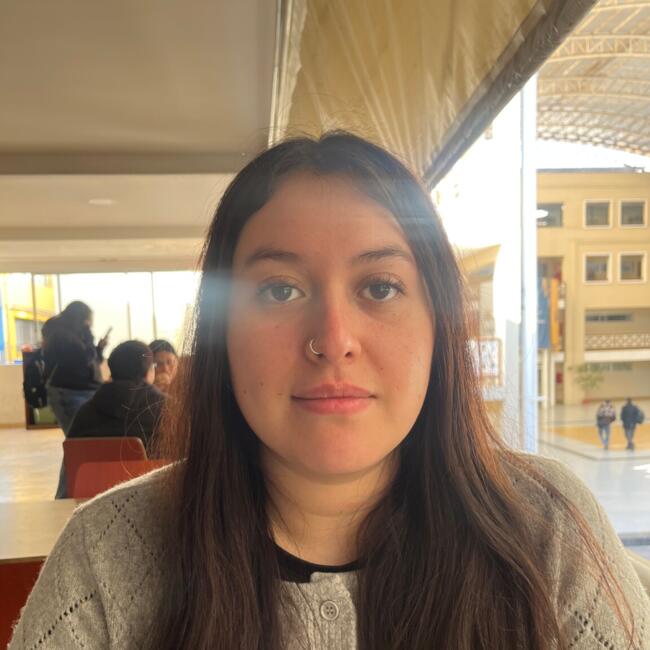 Babysitter in Peñalolén: Scarlet