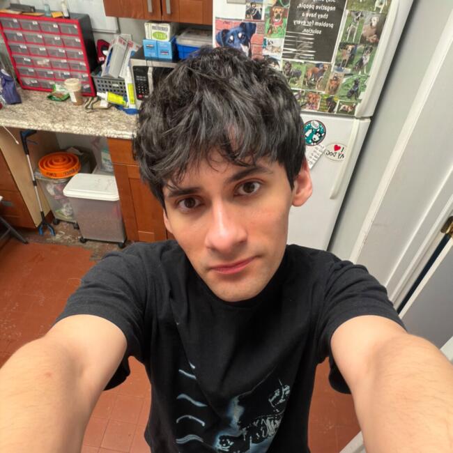 Babysitter in Mamaroneck: Jeremy