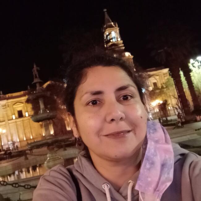 Baby-sitter in Santiago: Pilar