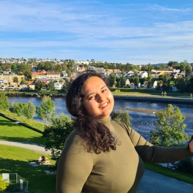 Babysitter in Stockholm: Parul