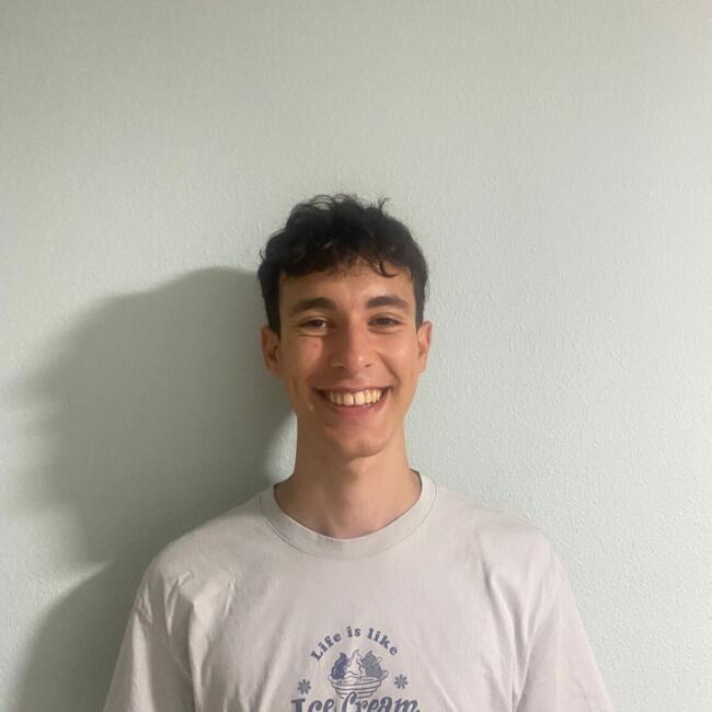 Babysitter in Zaragoza: Sergio