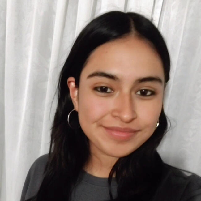 Niñera en Pachuca: Junue