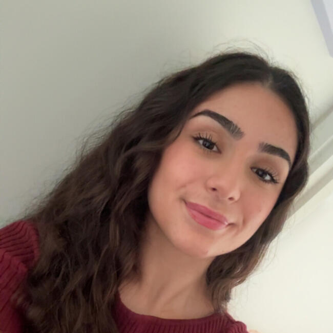 Babysitter in Auckland: Soleen