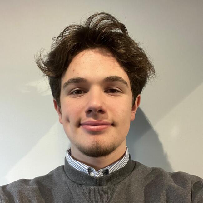 Babysitter in Maule: Arthur