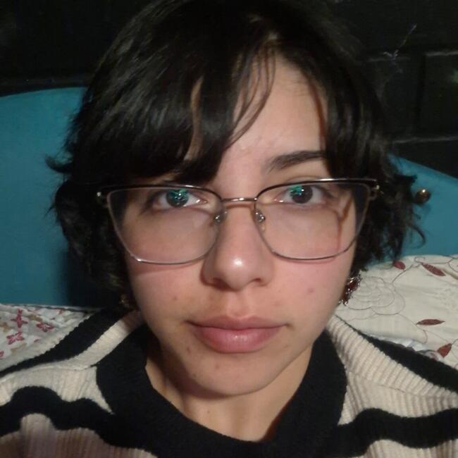 Babysitting job in Quilicura: Rafaela