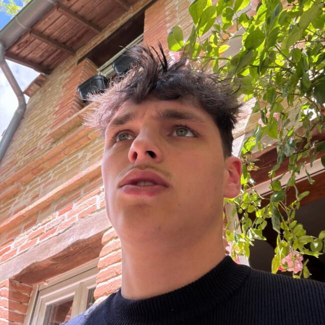 Babysitter in Montauban: Titouan