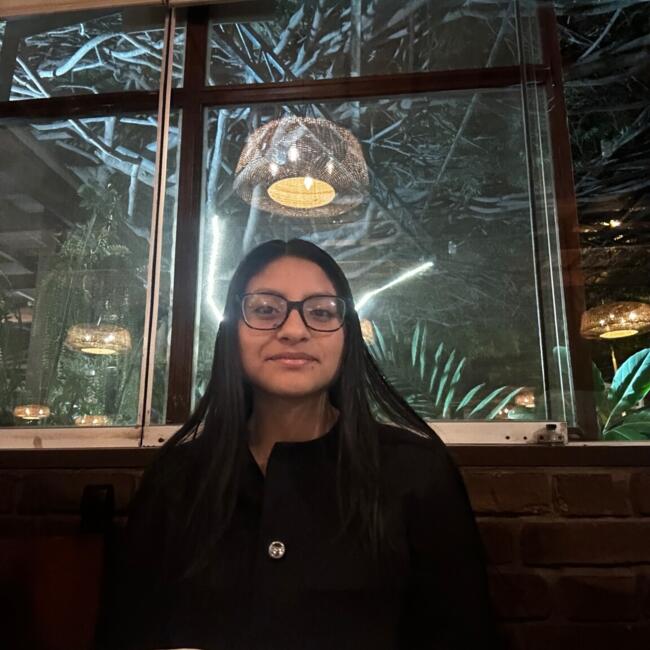 Babysitter in Lima: Maricielo