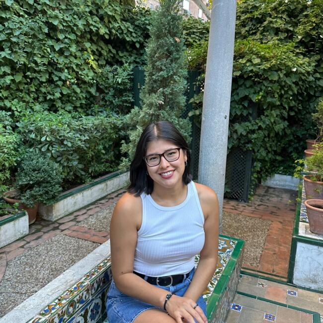 Babysitter in Madrid: Shakira