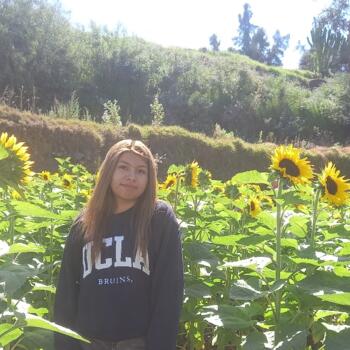 Baby-sitter in Arequipa: NICOLL ROSARIO