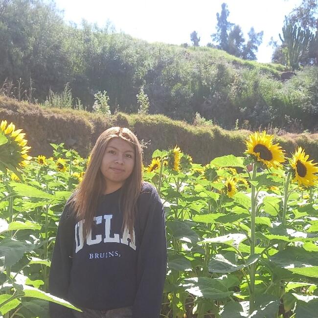 Babysitter in Arequipa: NICOLL ROSARIO