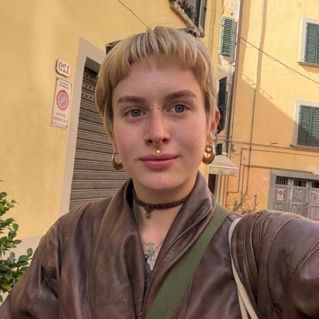 Babysitter a San Gimignano: Coline