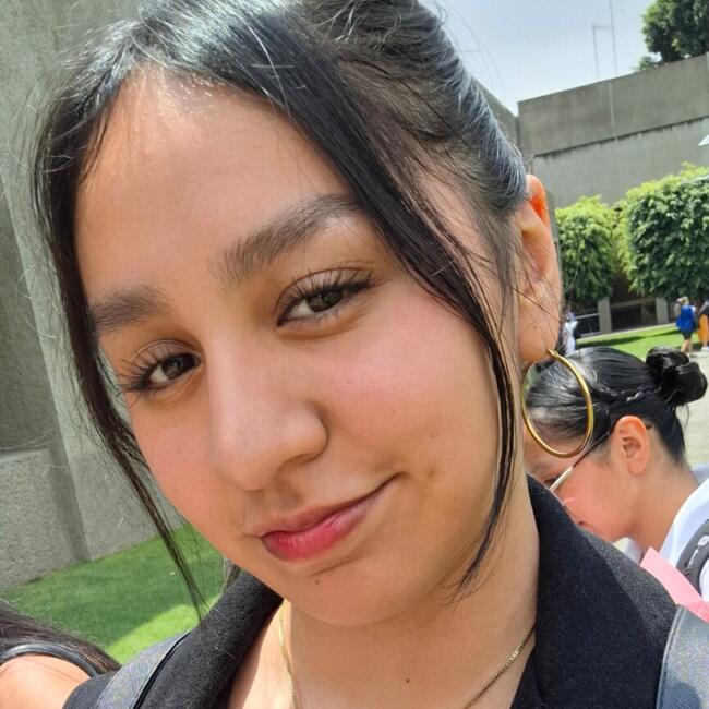 Babysitter in Colonia Álvaro Obregón: Carmen Ivonne