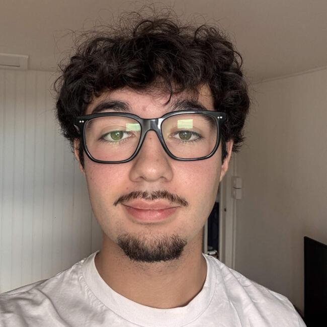 Babysitter in Pontoise: Léo