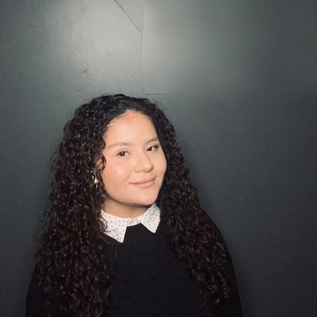 Babysitter in Zapopan: Paulina