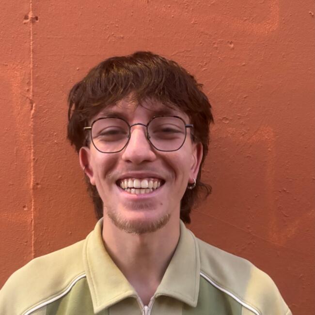 Babysitter in Toulouse: Li