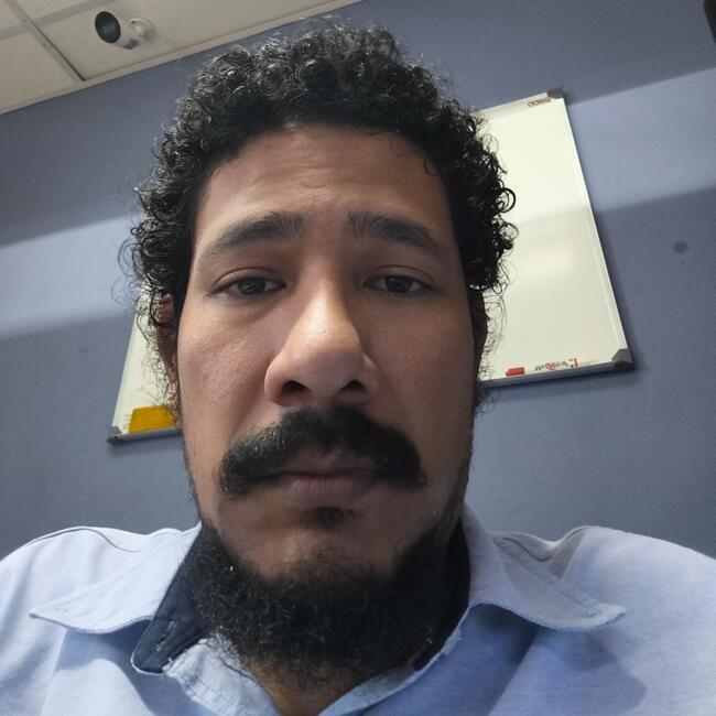 Babysitting job in Fraccionamiento Geovillas los Pinos: Luis