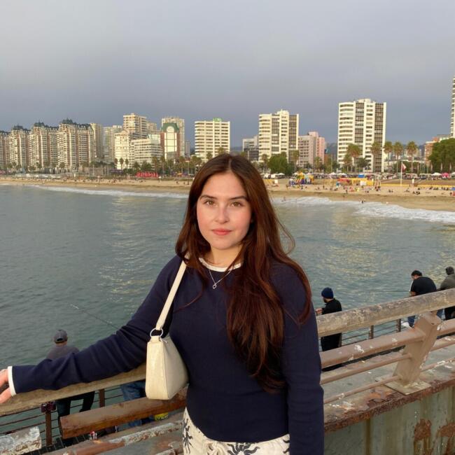 Babysitter in Talca: Reichel