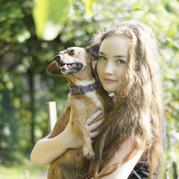 Babysitter Hull: Katarzyna