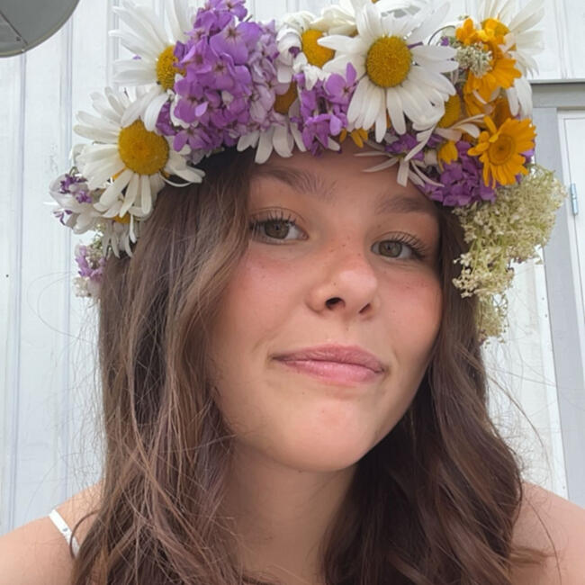 Babysitter in Örebro: Alva