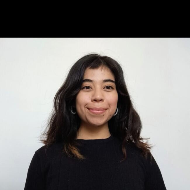 Niñera en La Reina: Belén Huerta Mella