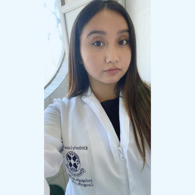 Babysitter in Temuco: Kimberly