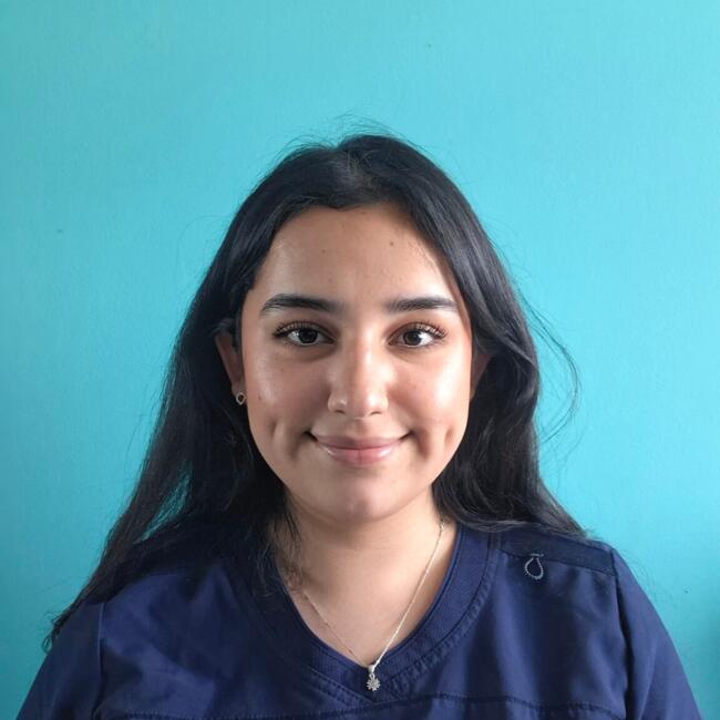 Babysitter in Concepción: Tamara