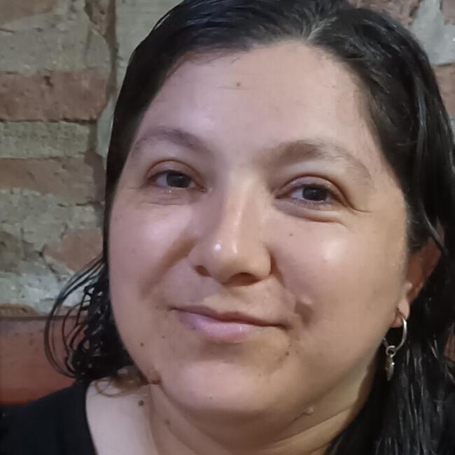Niñera en Ciudad de Resistencia: Jessica