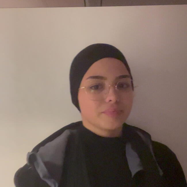 Babysitter in Besançon: Amany