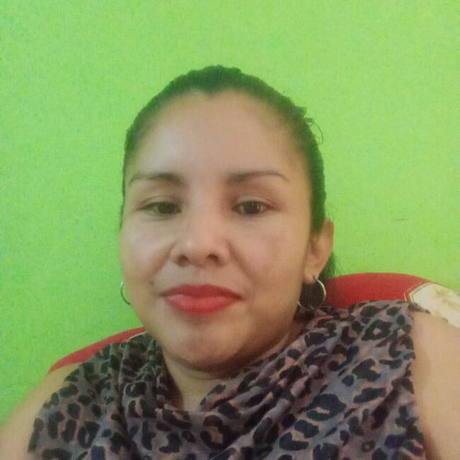 Babysitter in Santiago: Vielka