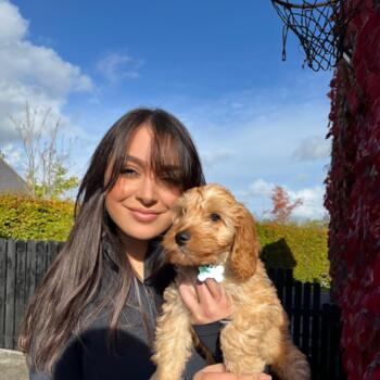 Babysitter in Roscommon: Irina Corina