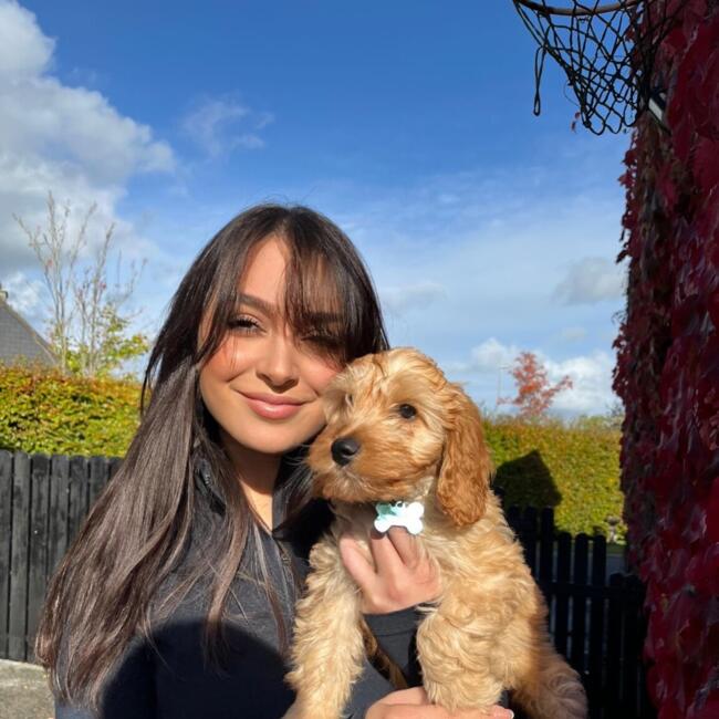Babysitter in Roscommon: Irina Corina